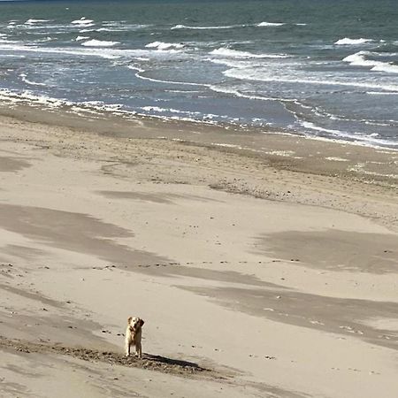 Natur Pur, O4 Neues Ferienhaus Natureingebunden, Familien- Und Hundefreundlich Eingezaeunt Callantsoog Dış mekan fotoğraf