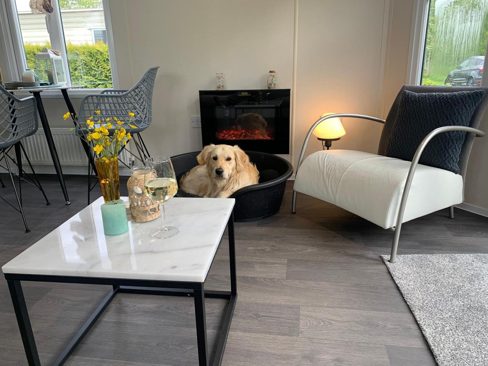 Natur Pur, O4 Neues Ferienhaus Natureingebunden, Familien- Und Hundefreundlich Eingezaeunt Callantsoog Dış mekan fotoğraf