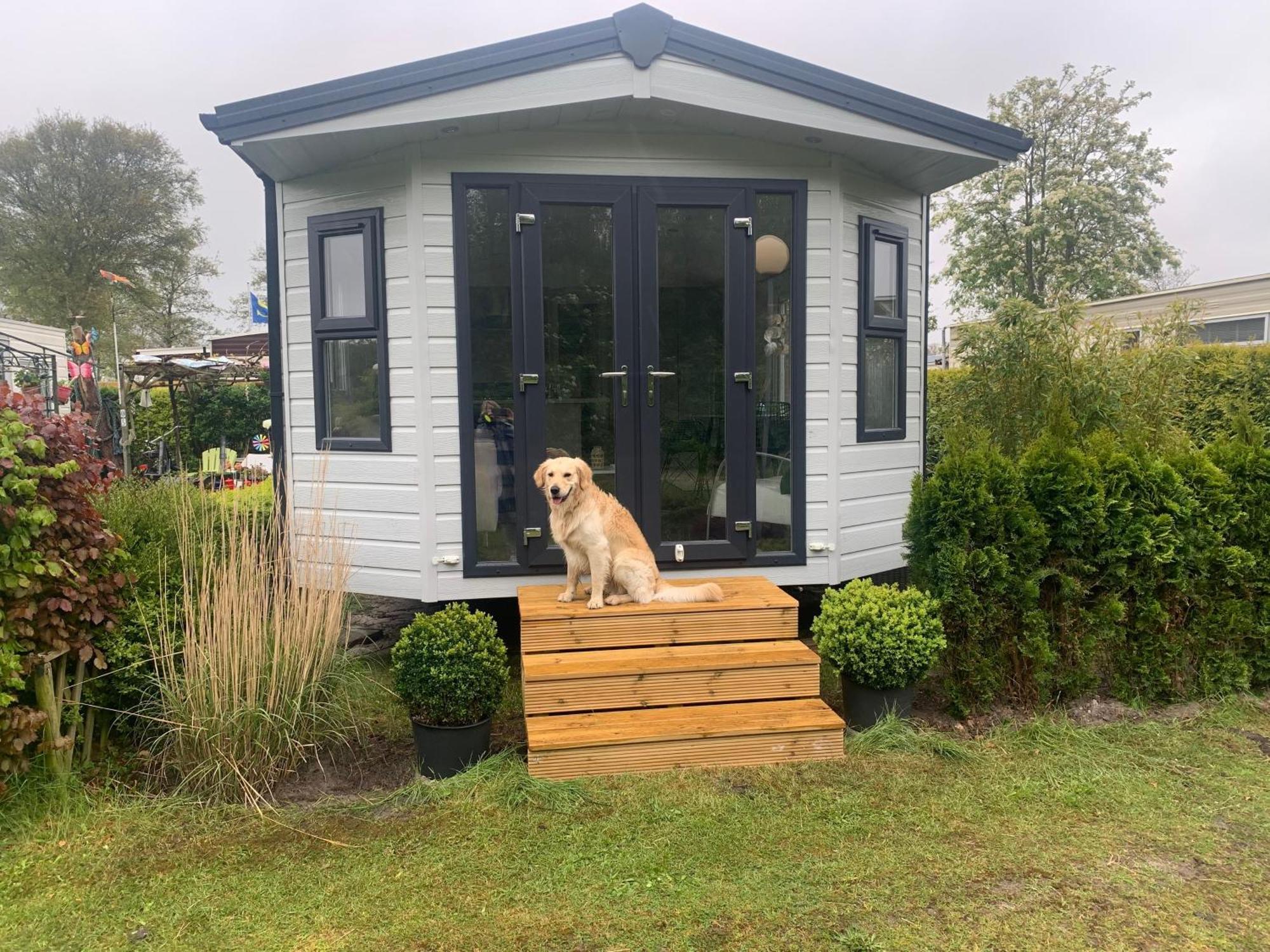 Natur Pur, O4 Neues Ferienhaus Natureingebunden, Familien- Und Hundefreundlich Eingezaeunt Callantsoog Dış mekan fotoğraf